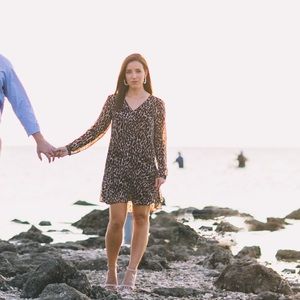 Banana Republic cheetah print long sleeve mini dress